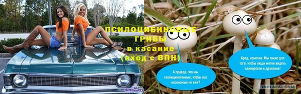 стафф Богородицк