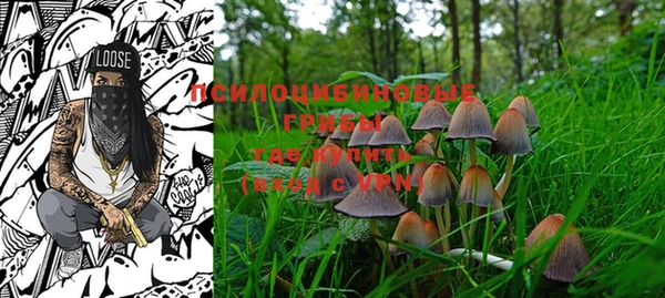 PSILOCYBIN Няндома