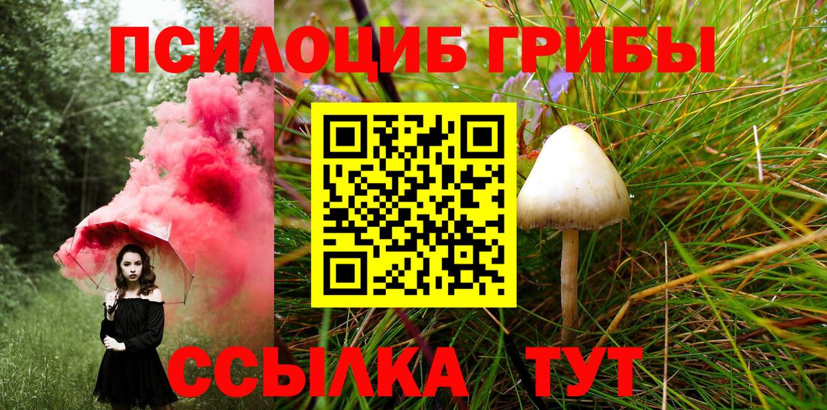 Пушкино  Галлюциногенные грибы мицелий  Галлюциногенные грибы прущие грибы  Вход с VPN 